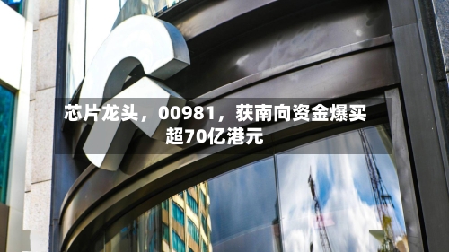 芯片龙头，00981	，获南向资金爆买超70亿港元-第3张图片