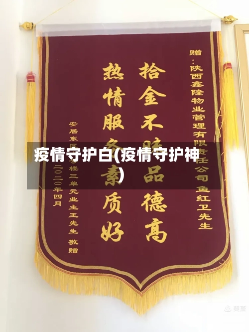 疫情守护白(疫情守护神)