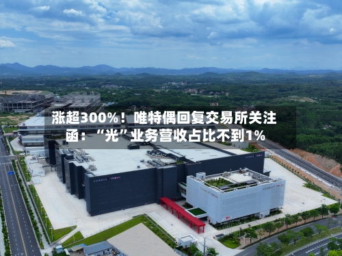 涨超300%！唯特偶回复交易所关注函：“光	”业务营收占比不到1%-第3张图片
