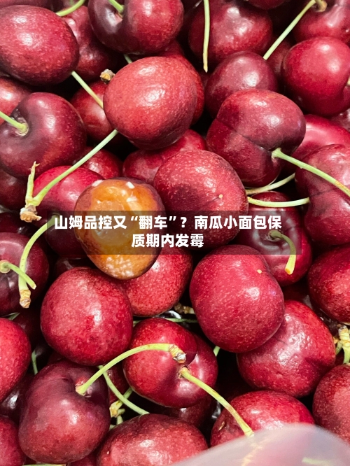 山姆品控又“翻车”？南瓜小面包保质期内发霉-第3张图片