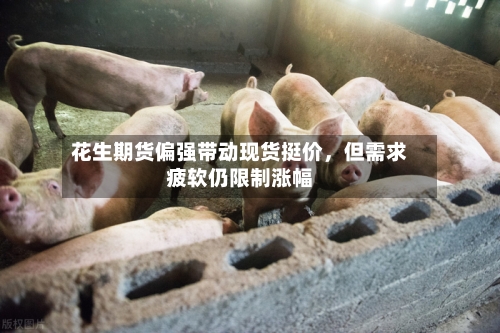 花生期货偏强带动现货挺价	，但需求疲软仍限制涨幅-第2张图片