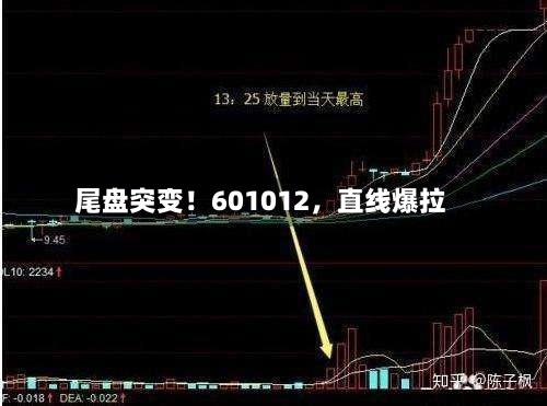 尾盘突变！601012	，直线爆拉-第3张图片