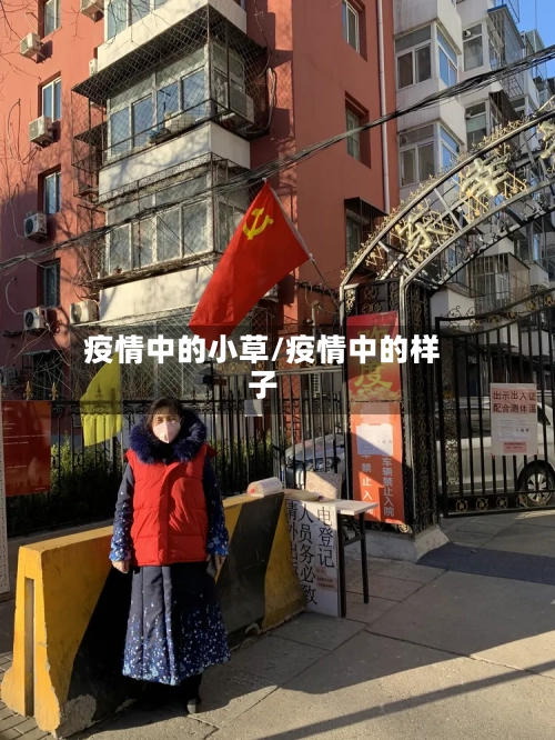 疫情中的小草/疫情中的样子