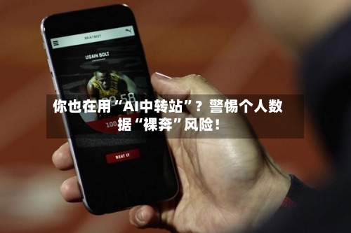 你也在用“AI中转站	”？警惕个人数据“裸奔”风险！-第3张图片