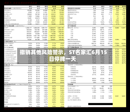 撤销其他风险警示，ST名家汇6月15日停牌一天-第3张图片
