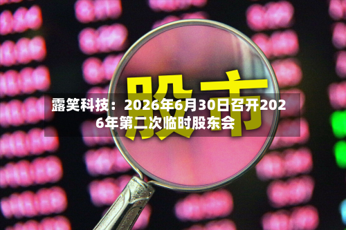 露笑科技:2026年6月30日召开2026年第二次临时股东会-第2张图片