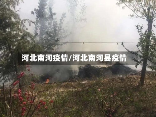 河北南河疫情/河北南河县疫情-第3张图片