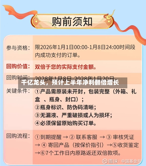 千亿龙头，预计上半年净利翻倍增长-第3张图片
