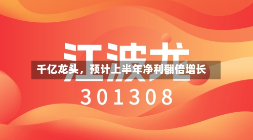 千亿龙头，预计上半年净利翻倍增长-第2张图片
