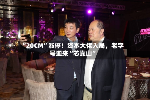 “20CM”涨停！资本大佬入局，老字号迎来“芯靠山	”-第2张图片
