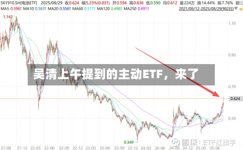 吴清上午提到的主动ETF	，来了-第3张图片