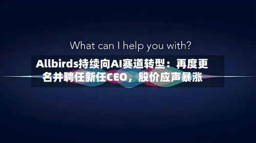 Allbirds持续向AI赛道转型：再度更名并聘任新任CEO，股价应声暴涨-第2张图片