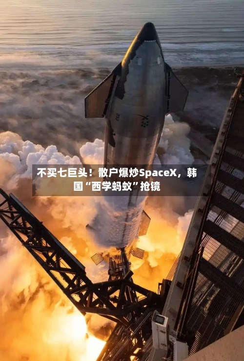 不买七巨头！散户爆炒SpaceX，韩国“西学蚂蚁”抢镜-第3张图片