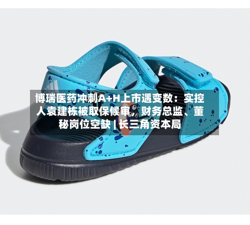 博瑞医药冲刺A+H上市遇变数：实控人袁建栋被取保候审	，财务总监	、董秘岗位空缺 | 长三角资本局-第2张图片