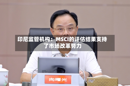 印尼监管机构：MSCI的评估结果支持了市场改革努力-第2张图片