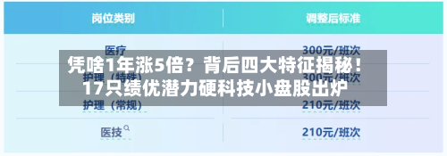凭啥1年涨5倍？背后四大特征揭秘！17只绩优潜力硬科技小盘股出炉-第3张图片