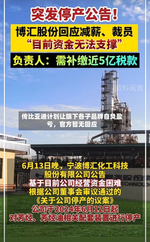 传比亚迪计划让旗下各子品牌自负盈亏	，官方暂无回应-第2张图片