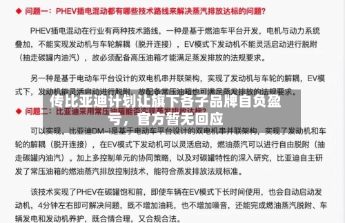传比亚迪计划让旗下各子品牌自负盈亏，官方暂无回应-第3张图片