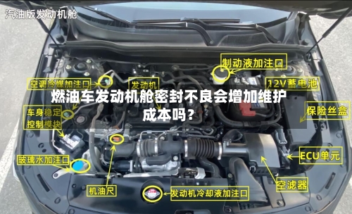 燃油车发动机舱密封不良会增加维护成本吗？-第3张图片