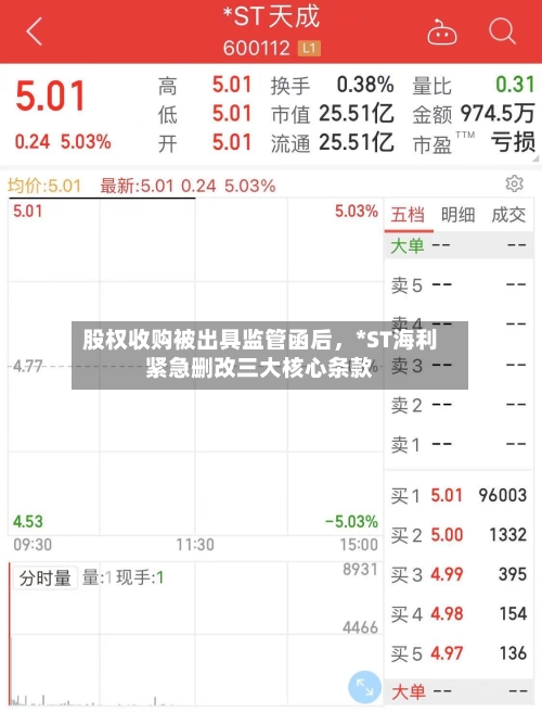 股权收购被出具监管函后，*ST海利紧急删改三大核心条款-第3张图片