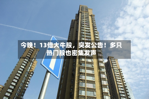今晚！13倍大牛股，突发公告！多只热门股也密集发声-第3张图片