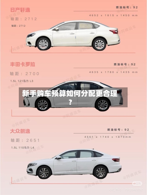 新手购车预算如何分配更合理？-第3张图片