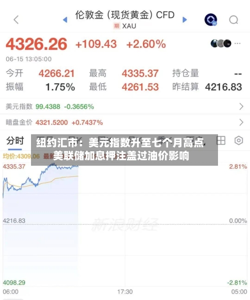 纽约汇市：美元指数升至七个月高点 美联储加息押注盖过油价影响-第2张图片