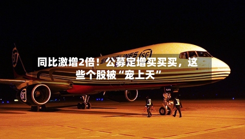 同比激增2倍！公募定增买买买，这些个股被“宠上天”-第3张图片