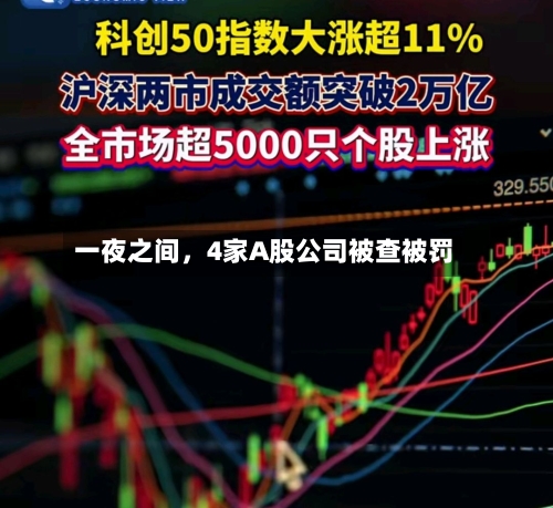 一夜之间	，4家A股公司被查被罚-第3张图片