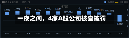 一夜之间，4家A股公司被查被罚-第2张图片