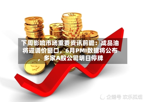 下周影响市场重要资讯前瞻：成品油将迎调价窗口，6月PMI数据将公布，多家A股公司明日停牌-第3张图片