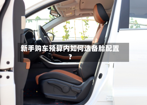 新手购车预算内如何选备胎配置？-第2张图片