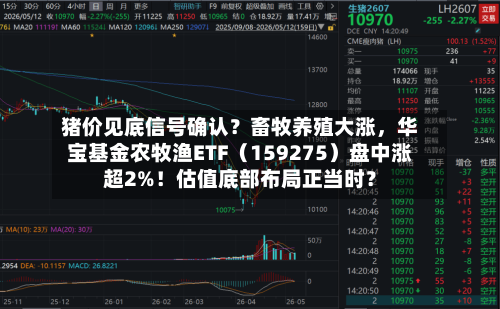 猪价见底信号确认？畜牧养殖大涨，华宝基金农牧渔ETF（159275）盘中涨超2%！估值底部布局正当时？-第2张图片