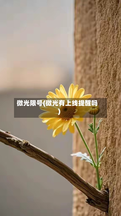 微光限号(微光有上线提醒吗)