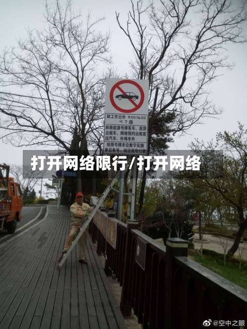 打开网络限行/打开网络