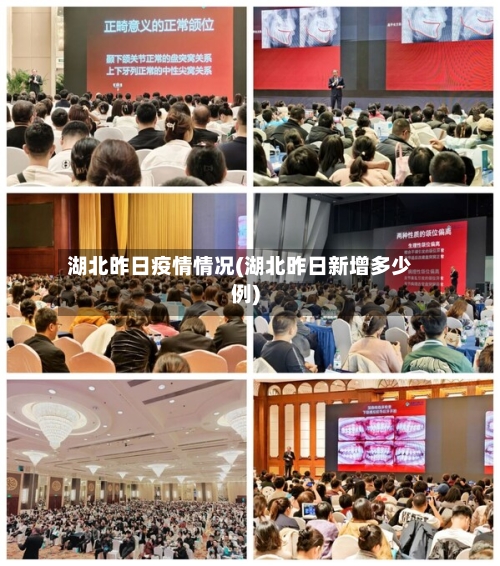 湖北昨日疫情情况(湖北昨日新增多少例)-第3张图片