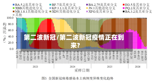 第二波新冠/第二波新冠疫情正在到来?