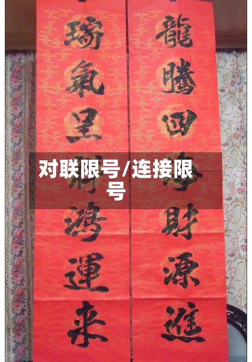 对联限号/连接限号-第3张图片