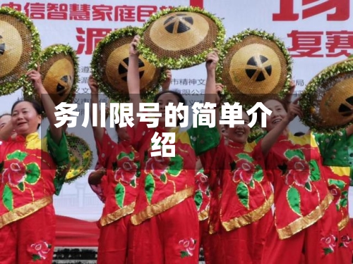 务川限号的简单介绍