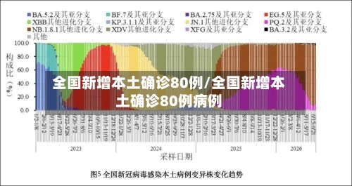 全国新增本土确诊80例/全国新增本土确诊80例病例