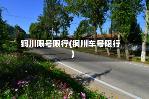 铜川限号限行(铜川车号限行)-第2张图片