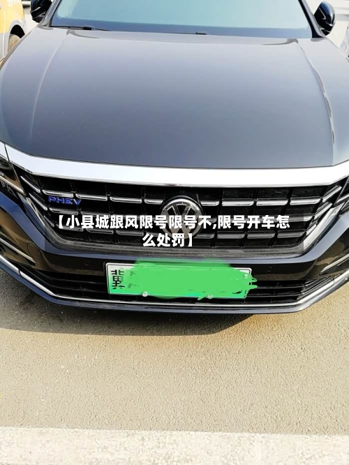 【小县城跟风限号限号不,限号开车怎么处罚】-第2张图片