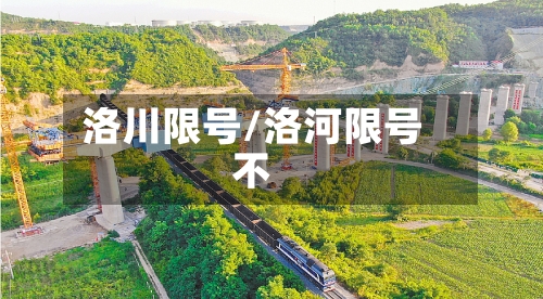 洛川限号/洛河限号不-第3张图片