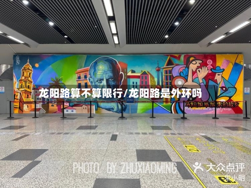 龙阳路算不算限行/龙阳路是外环吗-第2张图片