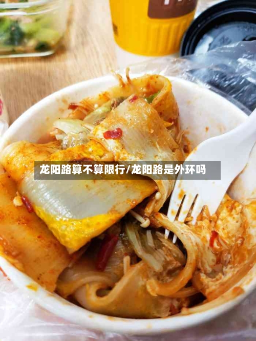 龙阳路算不算限行/龙阳路是外环吗-第3张图片
