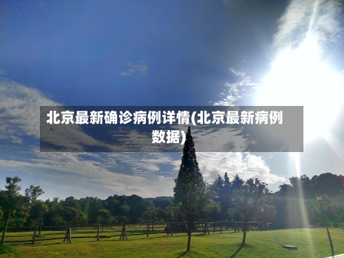北京最新确诊病例详情(北京最新病例数据)-第3张图片