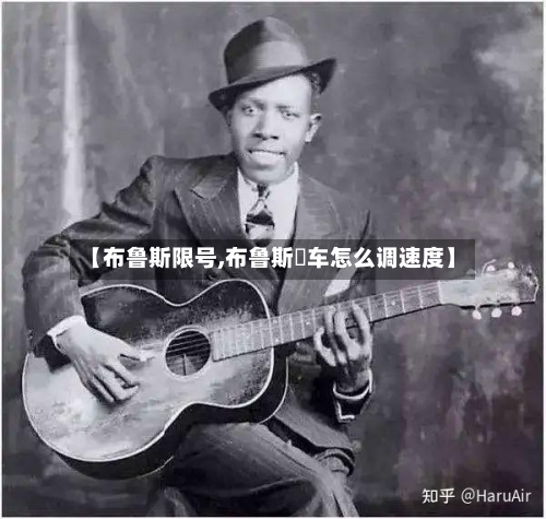 【布鲁斯限号,布鲁斯冚车怎么调速度】