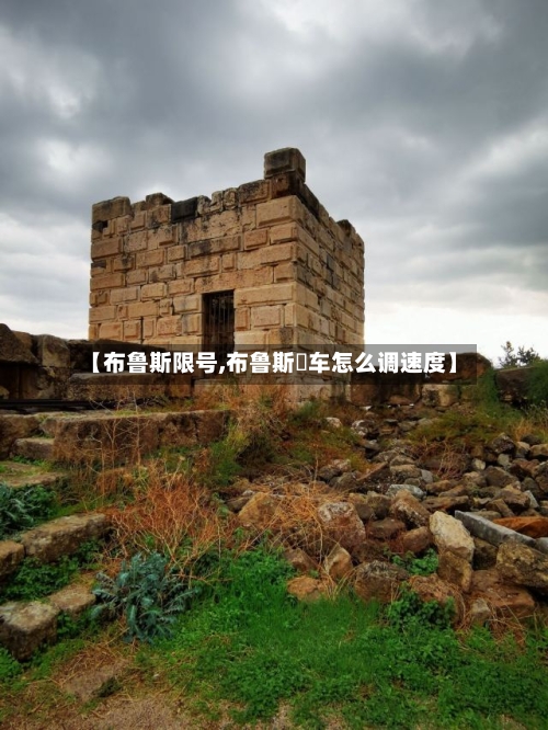 【布鲁斯限号,布鲁斯冚车怎么调速度】-第3张图片