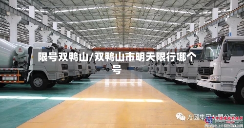 限号双鸭山/双鸭山市明天限行哪个号