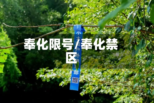奉化限号/奉化禁区-第3张图片
